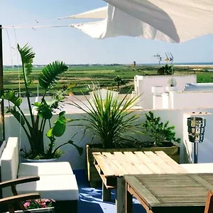 Aba Dali Conil De La Frontera
